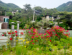 �ü����λ���11